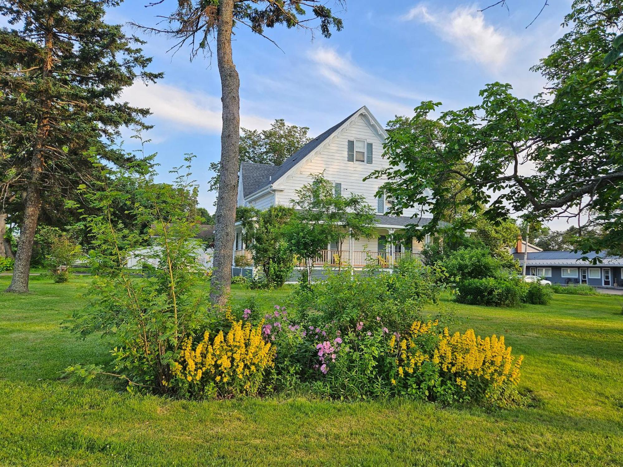 Sunflower Guest Suites Summerside Luaran gambar